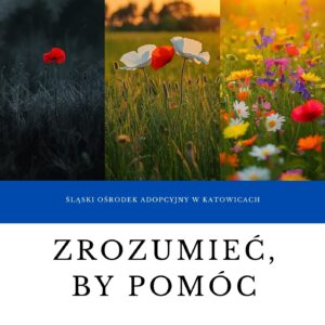 Publikacja Okładka publikacji Zrozumieć, by pomóc. Dziecięce traumy oraz ich wpływ na rozwój
