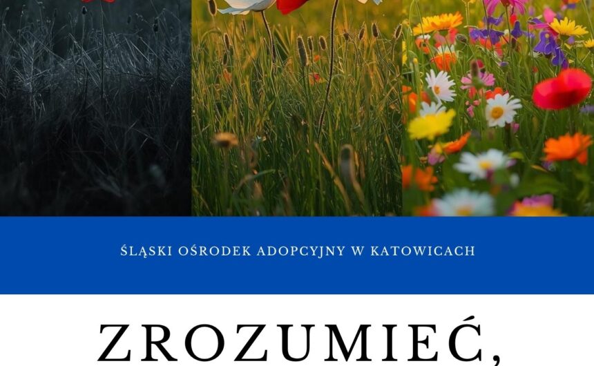 Publikacja Okładka publikacji Zrozumieć, by pomóc. Dziecięce traumy oraz ich wpływ na rozwój